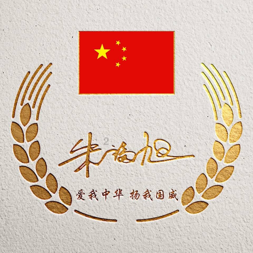 猫用空气净化器哪款牌子除毛好?除毛好用宠物空气净化器牌子推荐