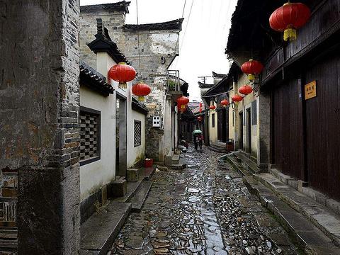 虫虫助手下载